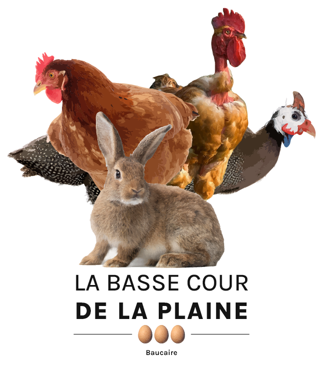 labassecourdelaplaine.fr